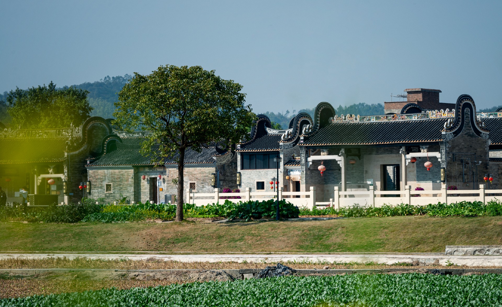 _SPI0262-1.jpg