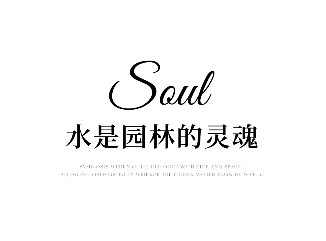 1735627803167552.jpg 1735627799360.jpg