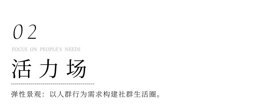 1735634109343550.jpg 1735634105448.jpg